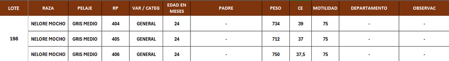 Lote LOTE 198