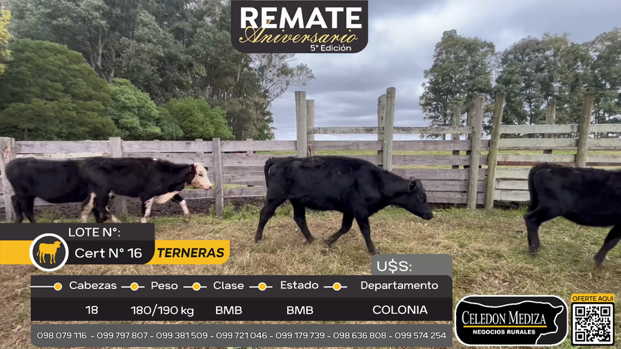 Lote 18 Terneras en Quintón, Colonia