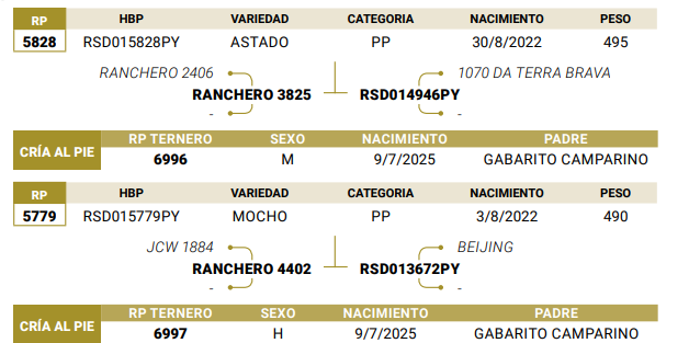 Lote LOTE 57