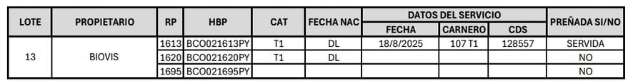 Lote LOTE 13