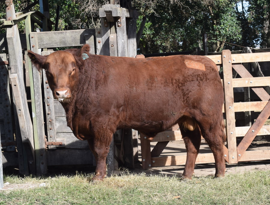 Lote CABAÑA “COEMBOTÁ” de Calderón RP 129