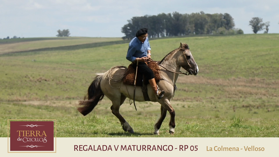 Lote Regalada V Maturrango (RP 05) - Cabaña "La Colmena"
