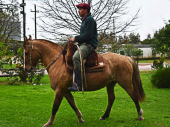 Lote Dinga la higuera