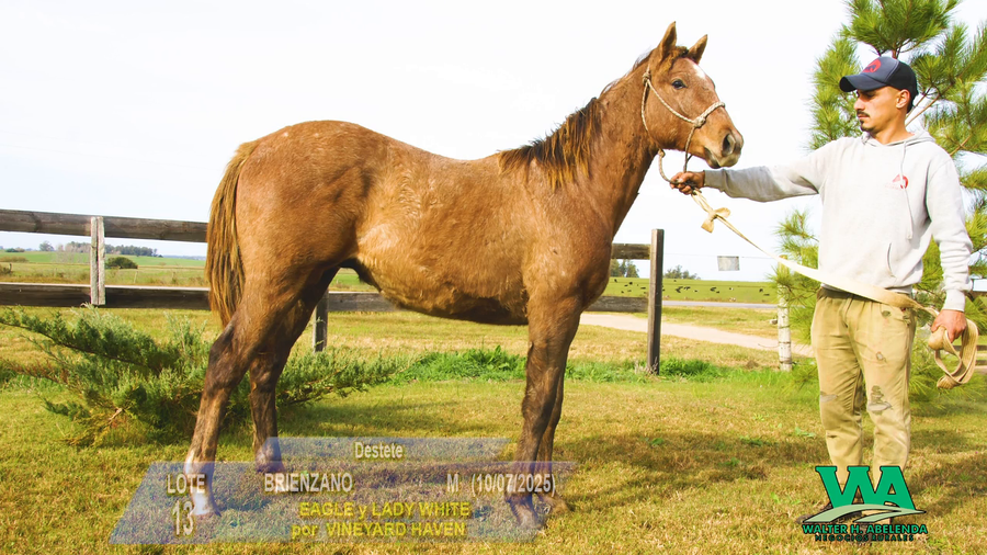 Lote BRIENZANO