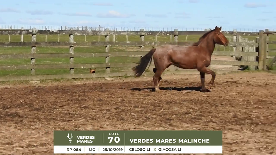 Lote VERDES MARES MALINCHE