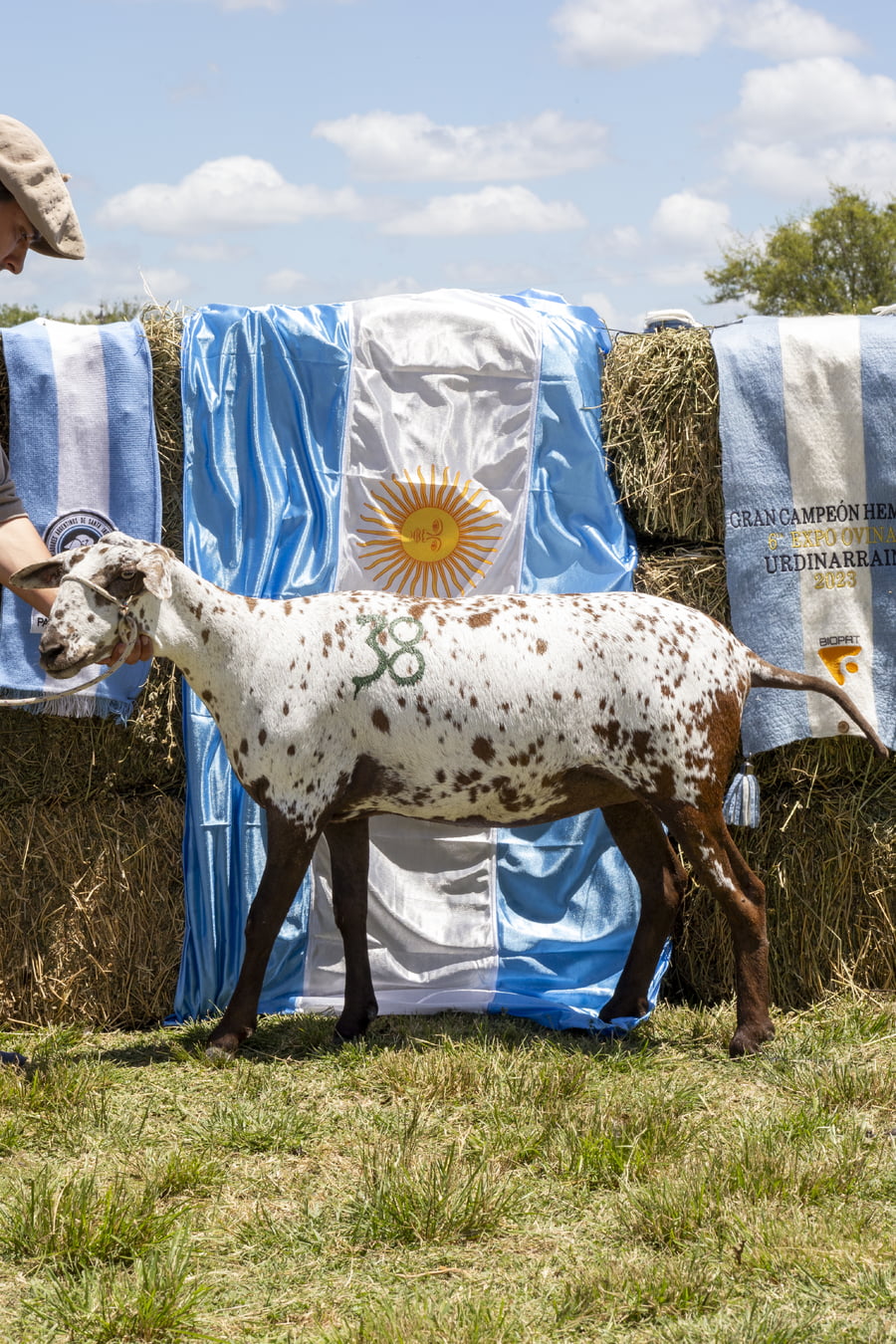Lote SANTA INES P.P.C.