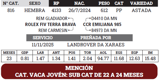 Lote LOTE 1 - BOZAL