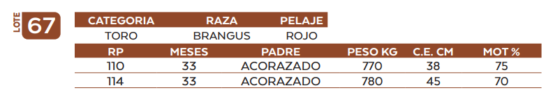 Lote LOTE 67