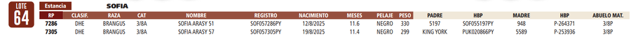 Lote LOTE 64