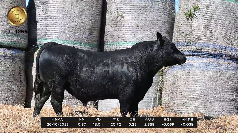 Lote LA SANTINA 4 REAL 2627-1256