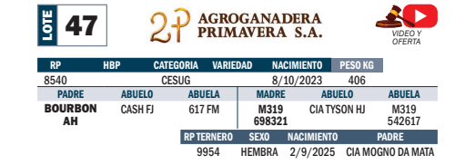 Lote LOTE 47- POR PANTALLA