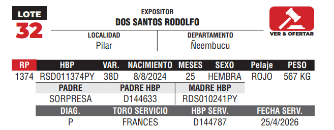 Lote LOTE 32 - DE CAMPO