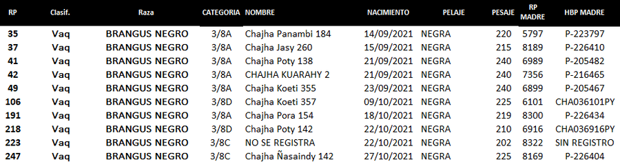Lote Lote P4 Hembras por Pantalla