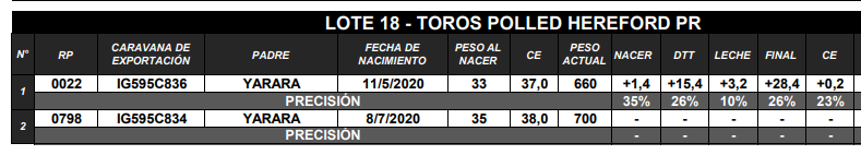 Lote TOROS P. HEREFORD PR