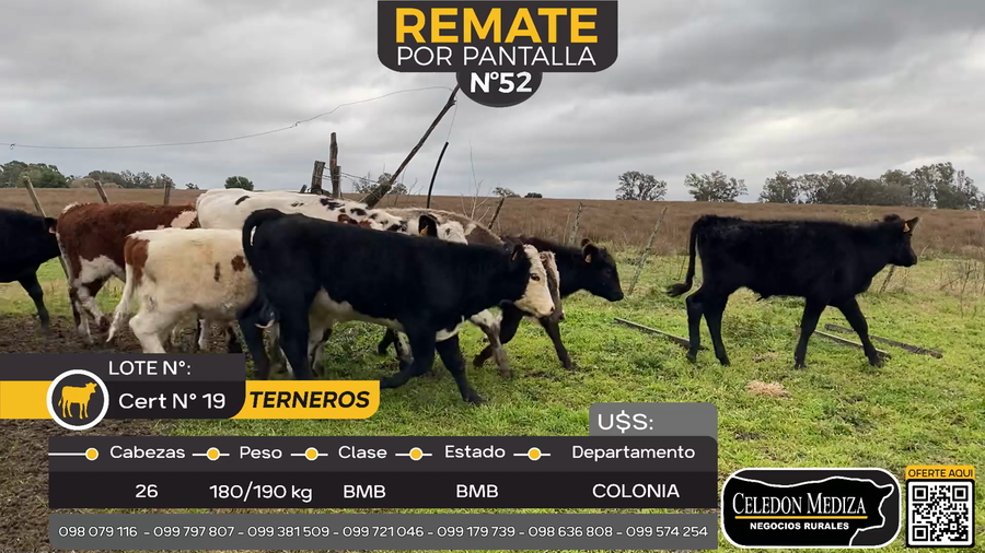 Lote 26 Terneras en La Horqueta, Colonia