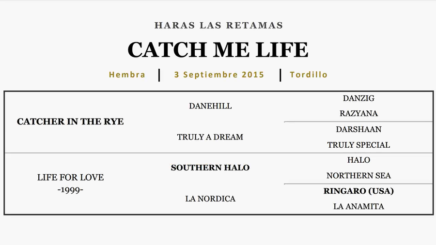 Lote CATCH ME LIFE (CATCHER IN THE RYE - LIFE FOR LOVE)