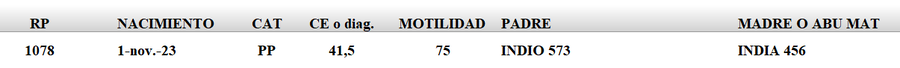 Lote LOTE 47