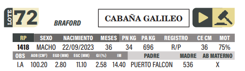 Lote LOTE 72