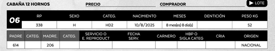 Lote LOTE 6