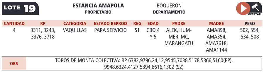Lote LOTE 19