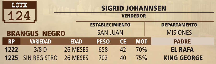 Lote LOTE 124 - VIVO