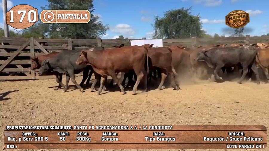 Lote LOTE 170 - PANTALLA