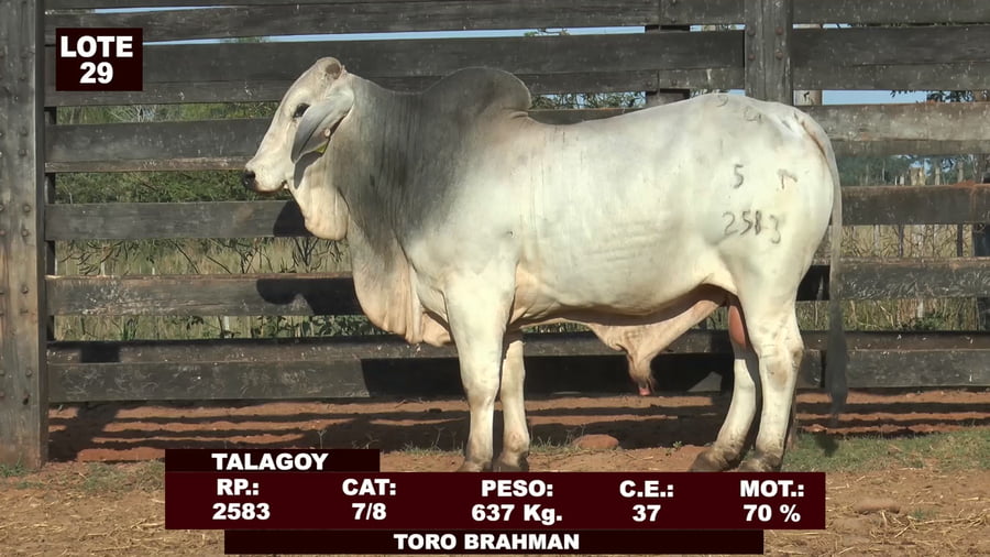 Lote Cabañas de Tradición - Lote 29