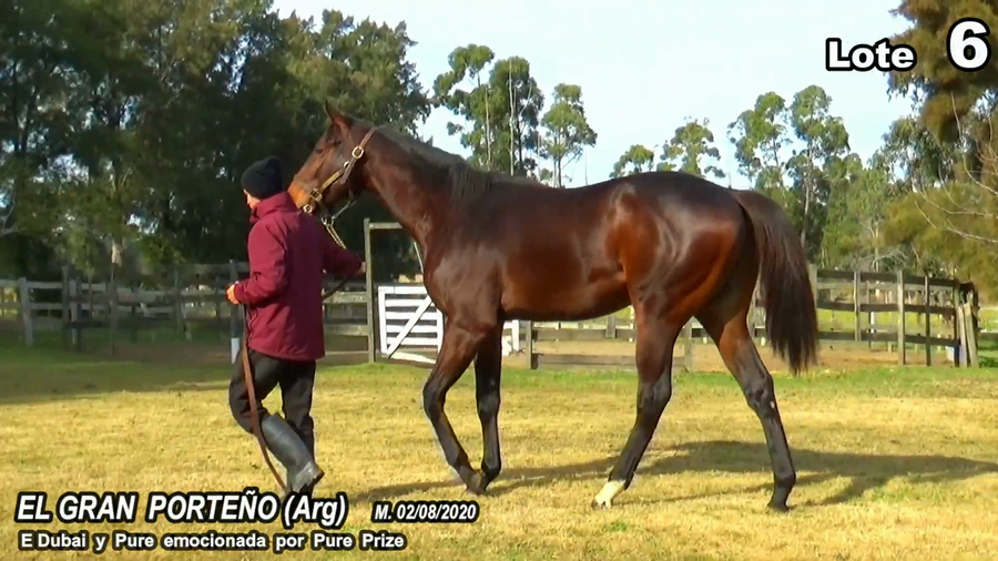 Lote EL GRAN PORTEÑO (ARG)