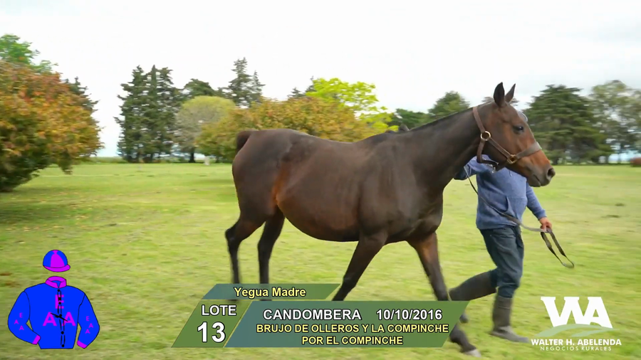 Lote CANDOMBERA