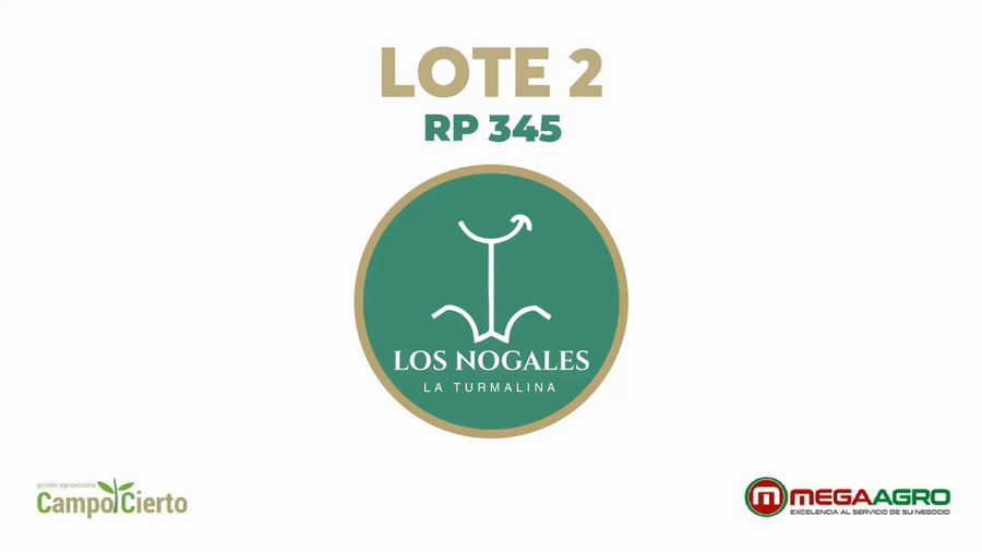 Lote LOS NOGALES