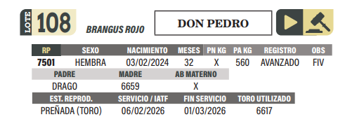 Lote LOTE 108