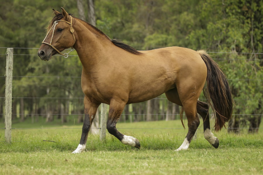 Lote KE ULTIMA DE LA COLINA R.P 211