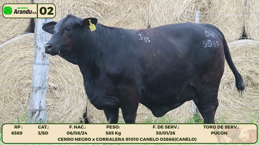 Lote LOTE 2