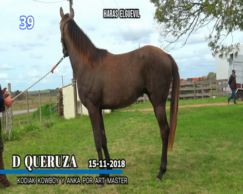 Lote D QUERUZA