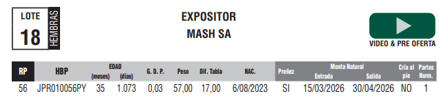 Lote LOTE 18
