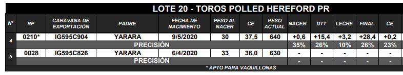 Lote TOROS P. HEREFORD PR