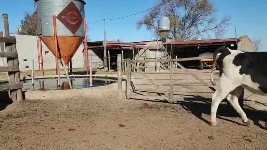 Lote Est. Don Osvaldo - Recria