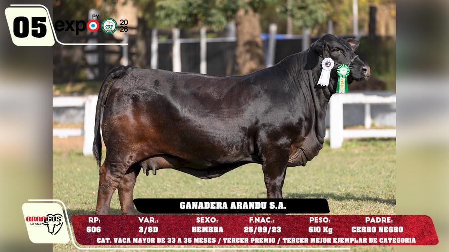 Lote LOTE 5
