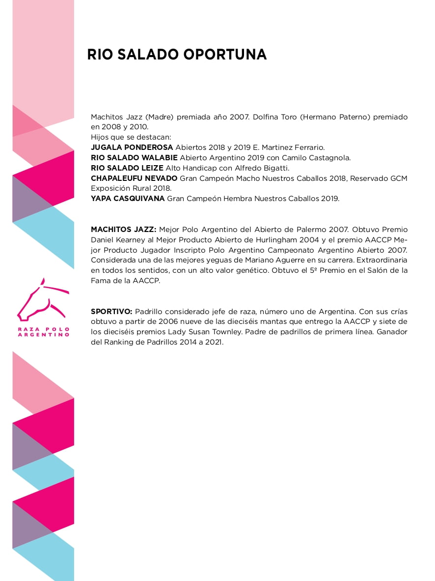 Lote RIO SALADO OPORTUNA (MACHITOS KRUPA - RIO SALADO SIMPATIA)