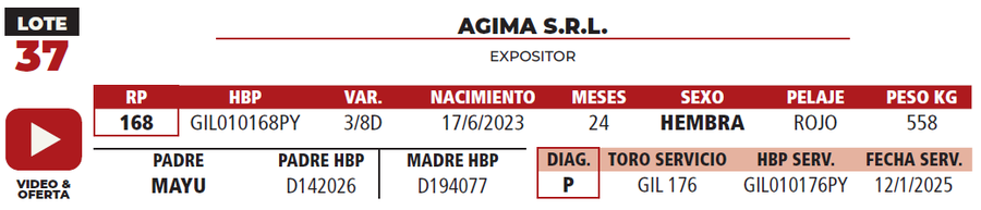 Lote LOTE 37