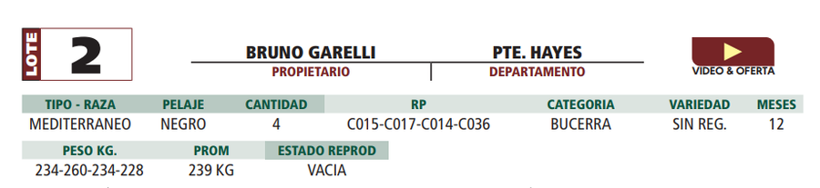 Lote LOTE 2