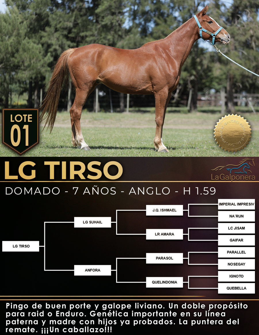 Lote LG TIRSO