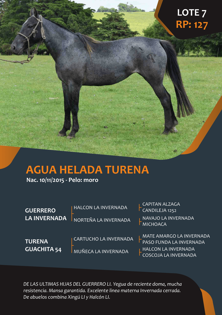 Lote RP 127 - AGUA HELADA TURENA