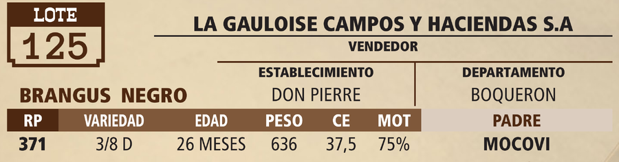 Lote LOTE 125 - VIVO