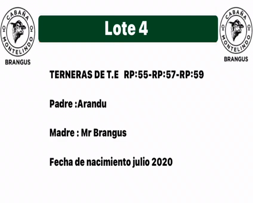 Lote TRIO MONTELINDO