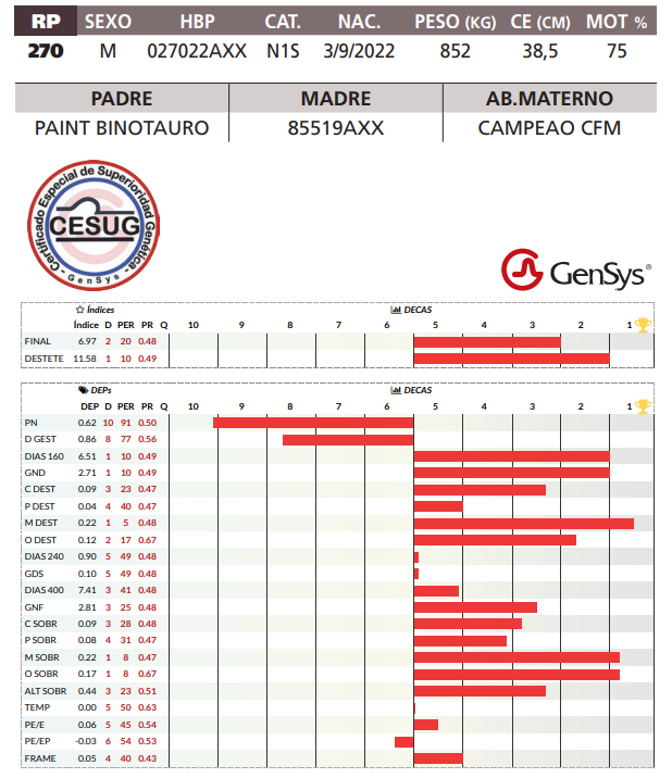 Lote LOTE 33
