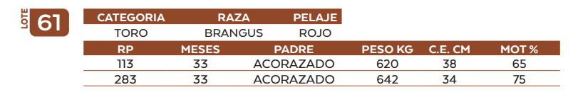 Lote LOTE 61