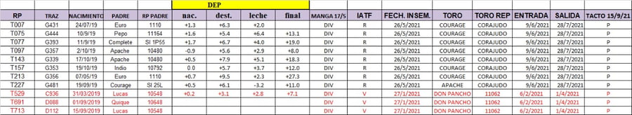 Lote 11 VAQUILLONAS ANGUS NEGRAS PREÑADAS, PARICION OTOÑO, EN LOBERIA, PBA.-