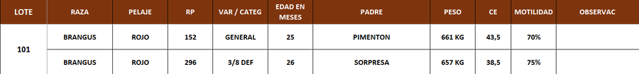 Lote LOTE 101
