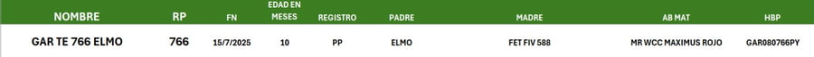 Lote LOTE 36